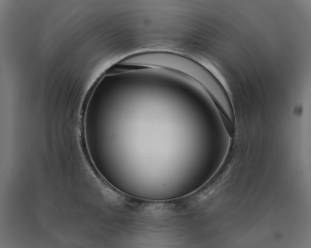 X0000090731093200708031518