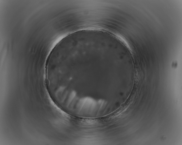 X0000090731095200708031518