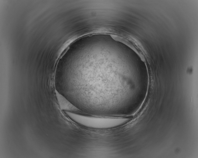 X0000090731097200708031518