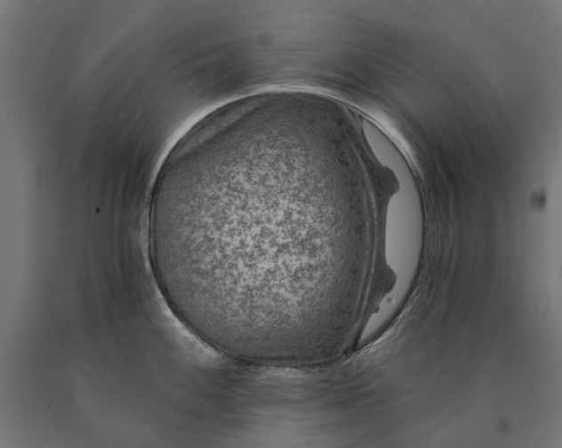 X0000090731100200708031518