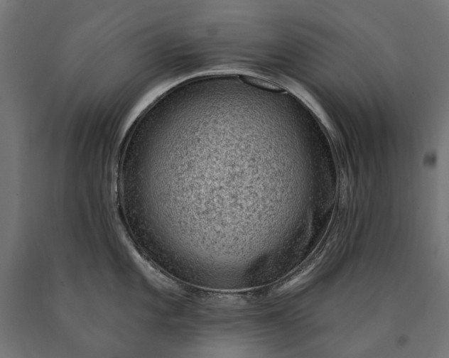 X0000090731101200708031518