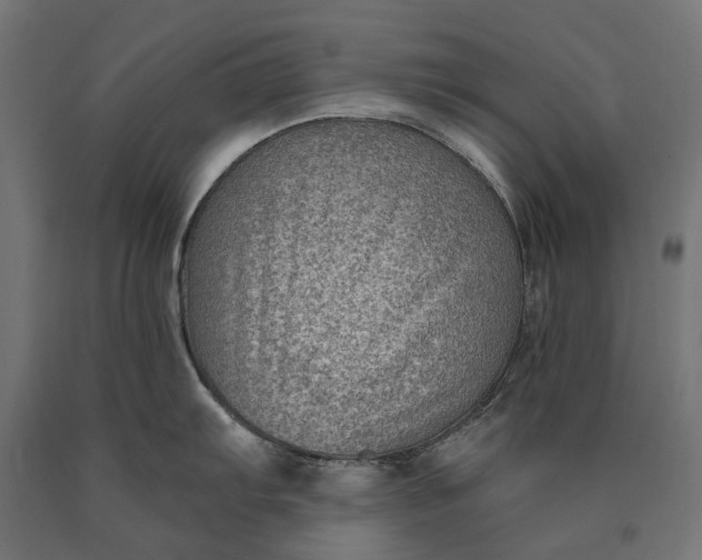 X0000090731103200708031518