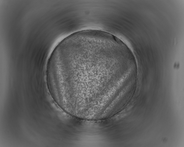 X0000090731104200708031518