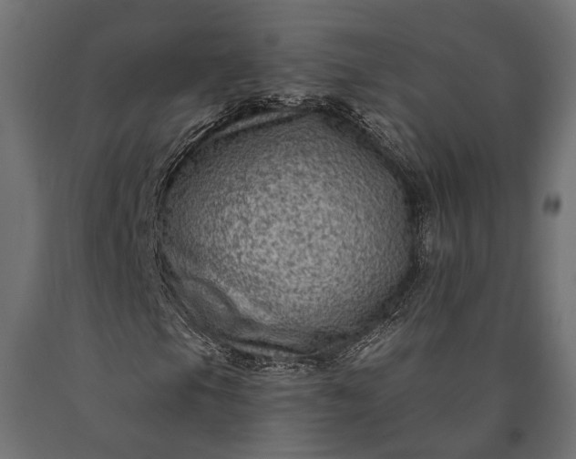 X0000090731105200708031517