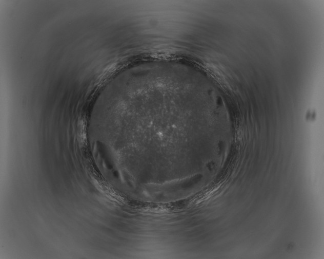 X0000090731106200708031517
