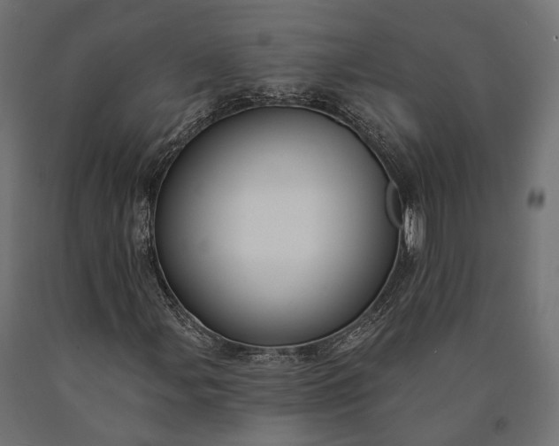 X0000090731107200708031517