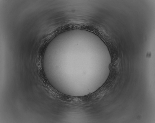 X0000090731109200708031517