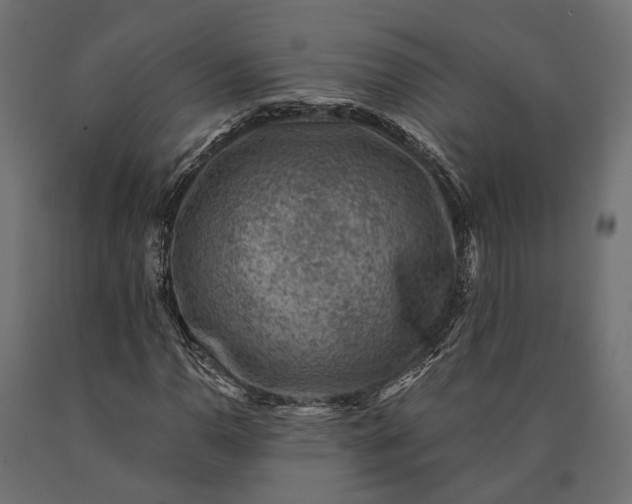 X0000090731110200708031517