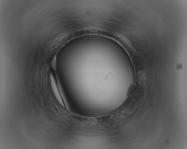 X0000090731111200708031517