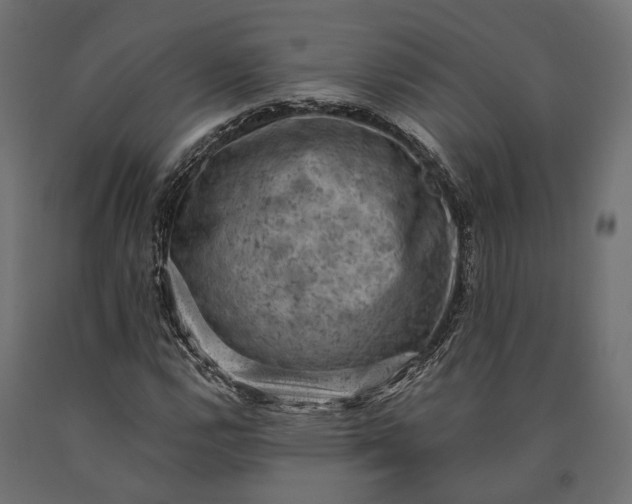 X0000090731112200708031517
