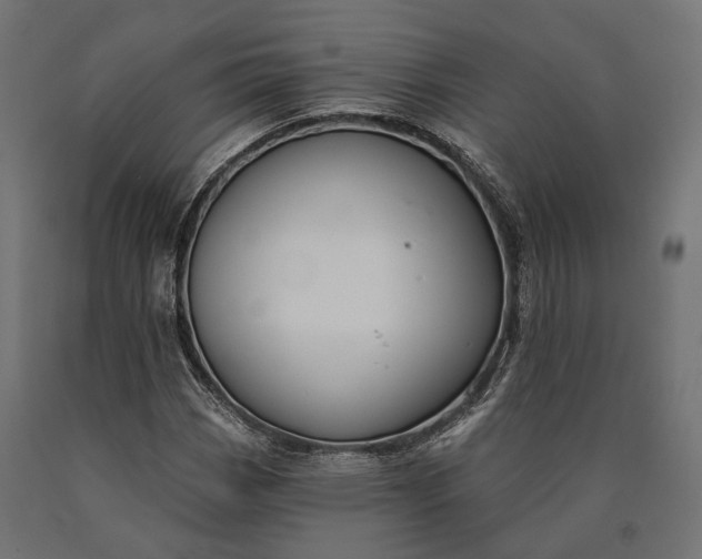 X0000090731113200708031517