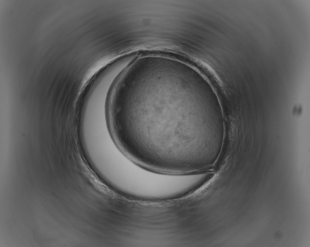 X0000090731114200708031517