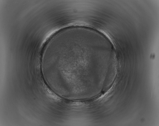 X0000090731115200708031517