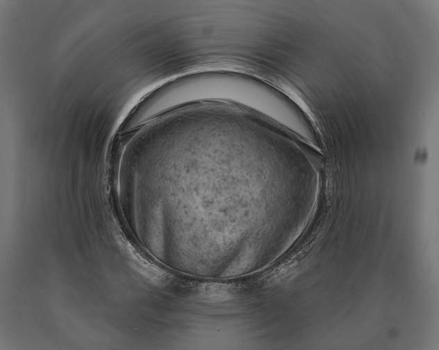 X0000090731116200708031517
