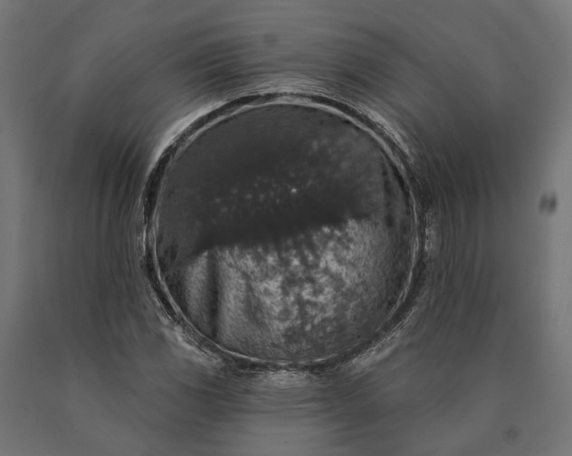 X0000090731117200708031517