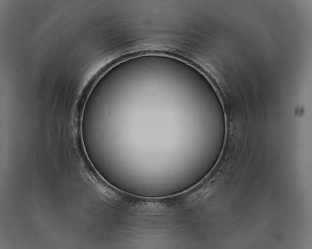 X0000090731119200708031517