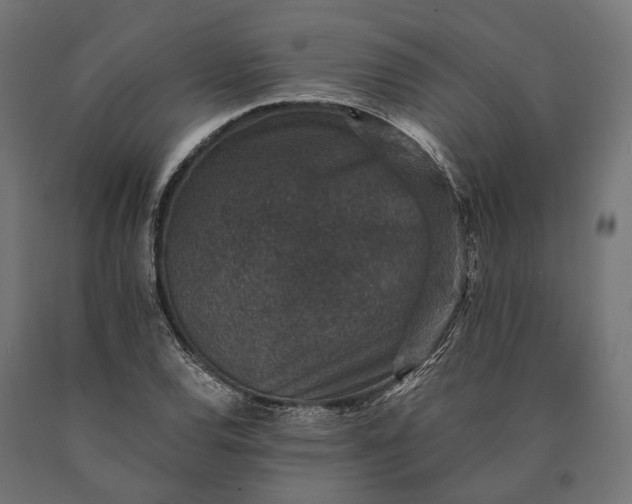 X0000090731120200708031517