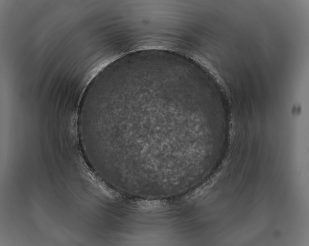 X0000090731121200708031517