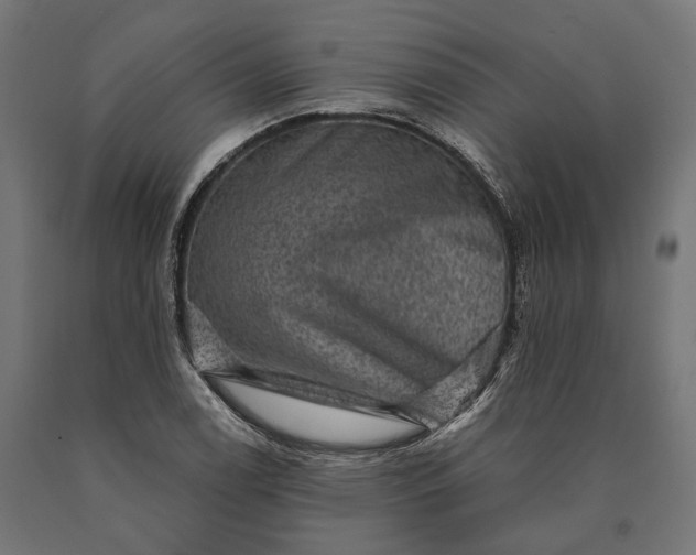 X0000090731122200708031517