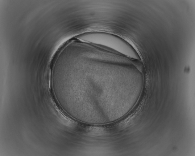 X0000090731123200708031517