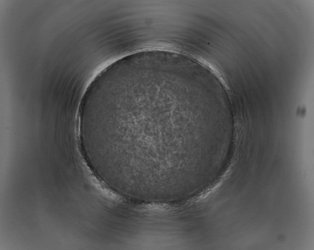 X0000090731125200708031517