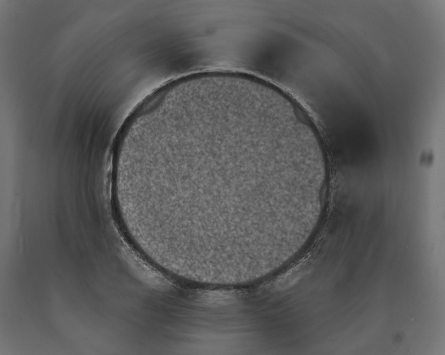 X0000090731126200708031517