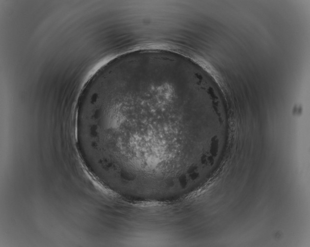 X0000090731127200708031517
