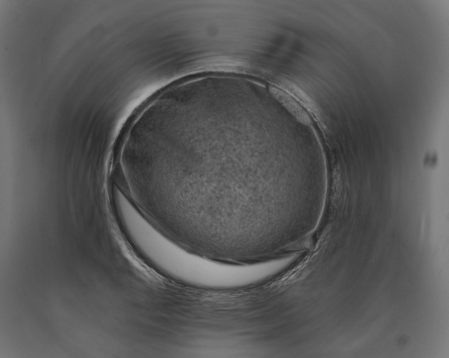 X0000090731128200708031517