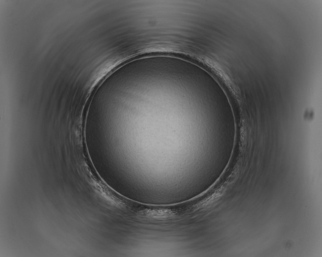 X0000090731129200708031517