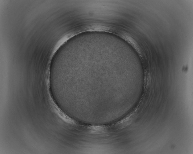 X0000090731130200708031517