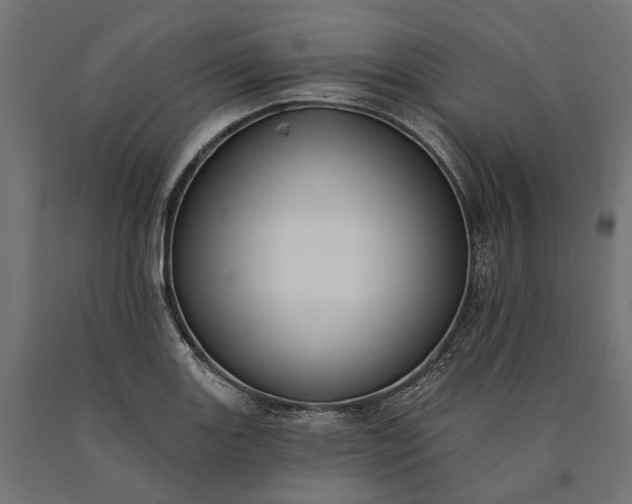X0000090731131200708031517