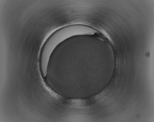 X0000090731132200708031517