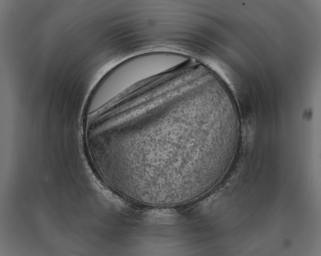 X0000090731133200708031517