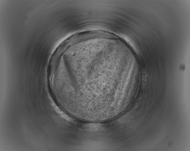X0000090731134200708031517