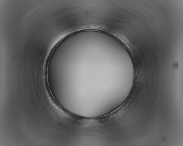X0000090731135200708031517