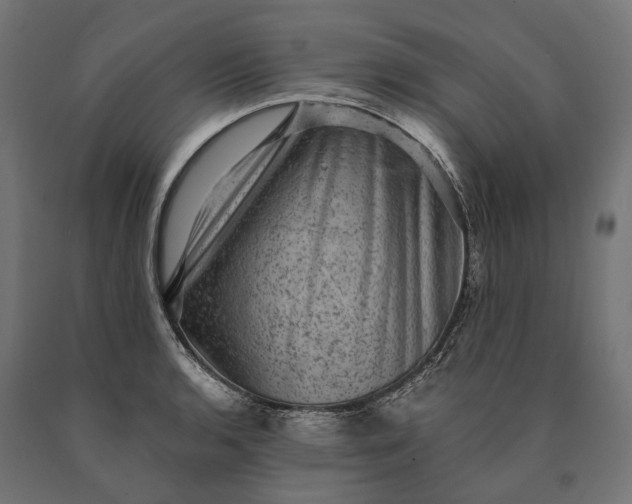 X0000090731136200708031517