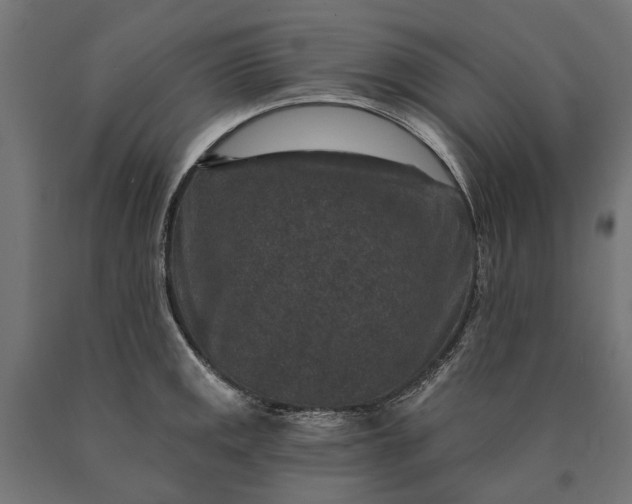 X0000090731141200708031517