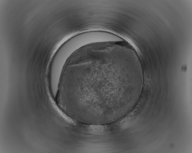 X0000090731142200708031518
