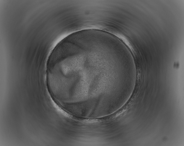 X0000090731143200708031518