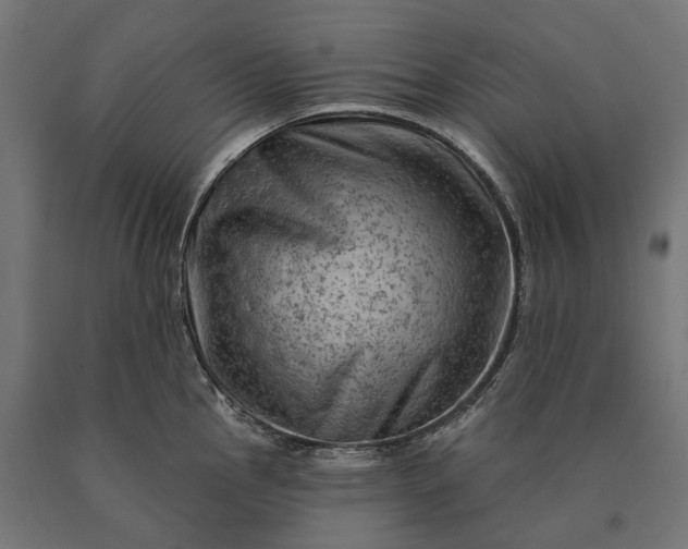 X0000090731145200708031518