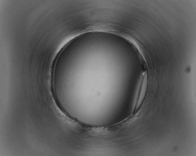 X0000090731147200708031518