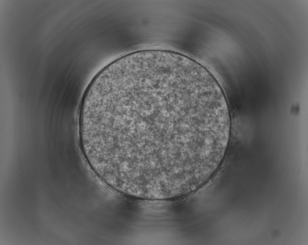 X0000090731150200708031518