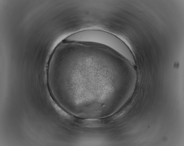 X0000090731151200708031518