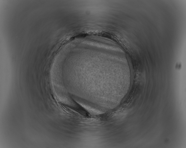 X0000090731153200708031517