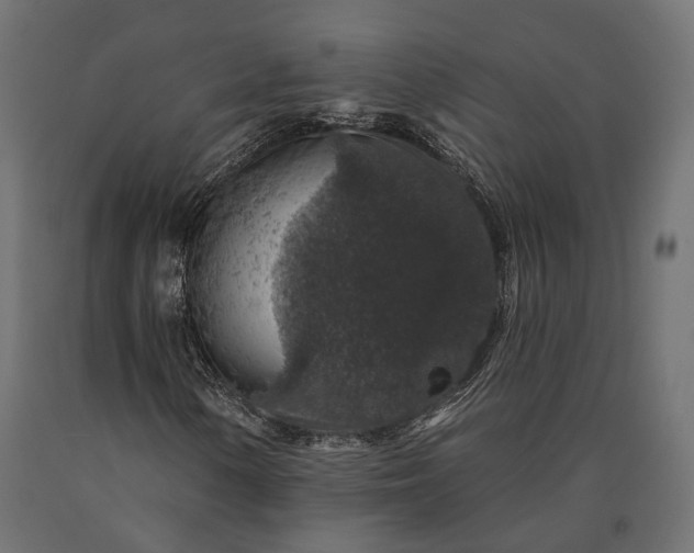 X0000090731154200708031517