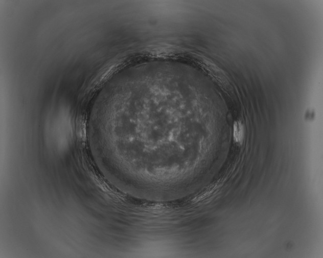 X0000090731155200708031517