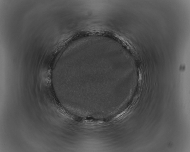 X0000090731156200708031517