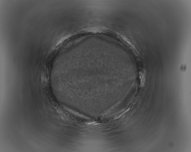 X0000090731158200708031517