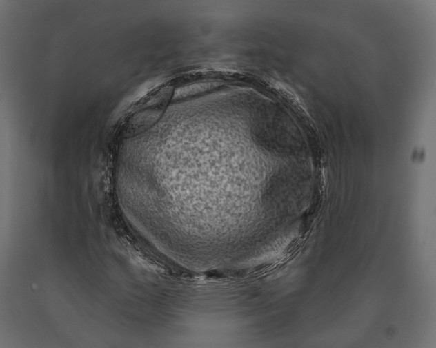 X0000090731159200708031517