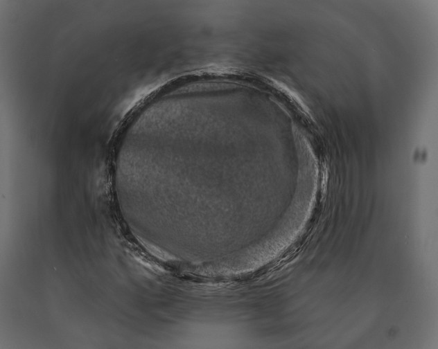 X0000090731160200708031517